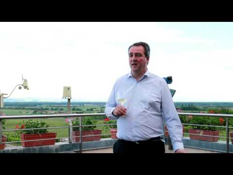 Promotie filmpje Domaine Fernand Engel - Wijnkoperij van Bilsen