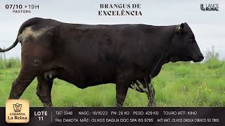 LOTE 11  3348