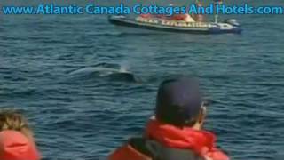 New Brunswick John Gyles Motor Inn Atlantic Canada Cottage
