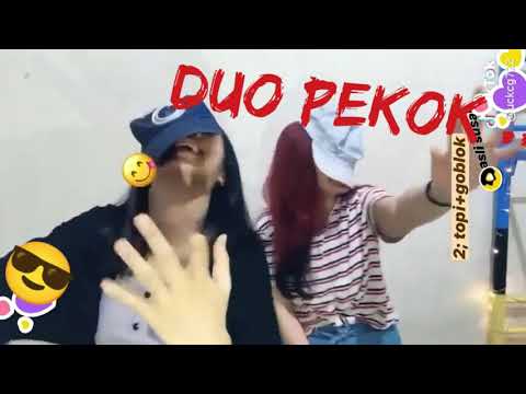 Duo Pekok .....