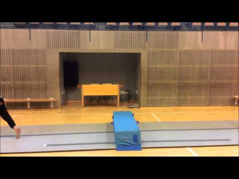 Skoleprojekt: Ny Cirkus