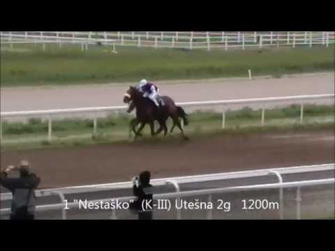 "Nestaško" K-III utešna 2g. 1200m