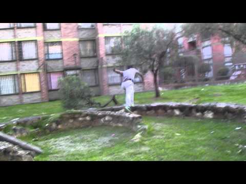 Cristian & Oscar`` BLUE MONKEYS``