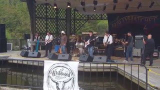 Whitewood at Brews and BBQ