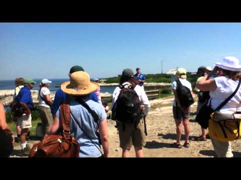 Appledore Island - Golden Girl Point Video 2