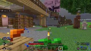 マイクラ#8