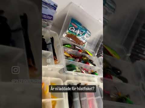 Är ni taggade inför höstfisket?