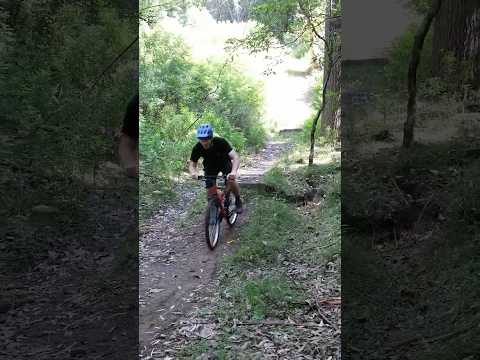 $150 Mountain Bike VS $15,000 Mountain Bike!!