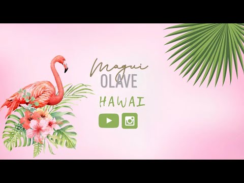 Una noche en Hawái🌴 con Magui Olave