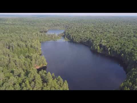 Drone crash! My Wild Drone Adventure