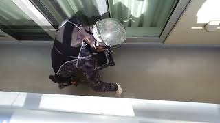 動画サムネイル