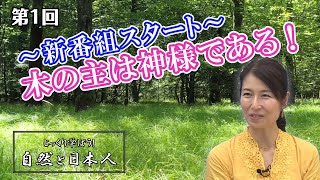 第33回 世界屈指の入れ歯技術～江戸の歯医者～