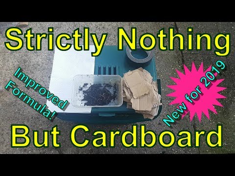 New Improved Cardboard Only Worm Bin Experiment for 2019