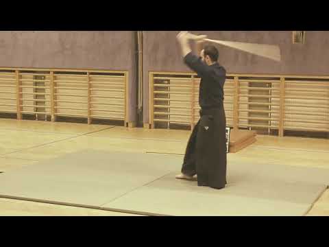 Aiki-jo 13 count kata (slow 'n' fast) | 2015