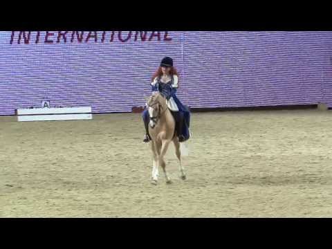 HIGHLIGHT    Trailer     EQUITANA 2013
