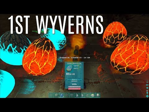 FIRST WYVERNS and Teleporter BUILD - Official PVP (E4) - Valguero