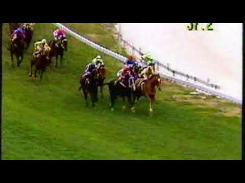 1989 Manikato Stakes - Our Westminster
