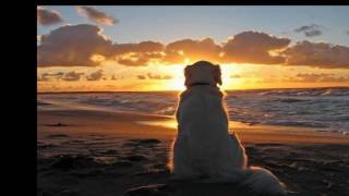 DUSTY OLD MAN -   original