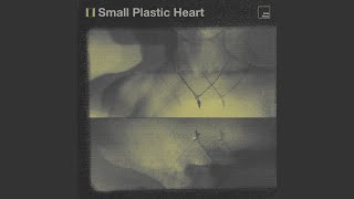 Small Plastic Heart Music Video