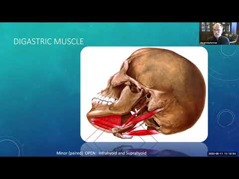 Mandible Fractures:  Things you should know. - Dr. Vince Eusterman