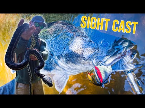 Murray Cod Fishing Wild hikes and Big fish!