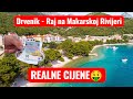 OTKRIVAM DRVENIK Tajna Makarske Rivijere REALNE CIJENE Na Jadranu