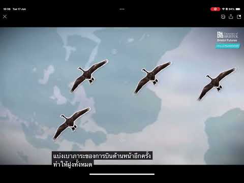 The  Wisdom of Geese