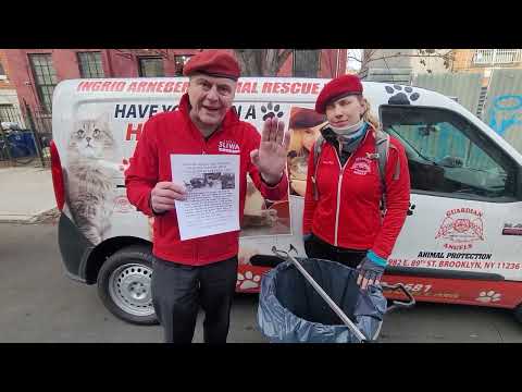 Curtis Sliwa & the Guardian Angels in Brooklyn to help the cats & find the rats