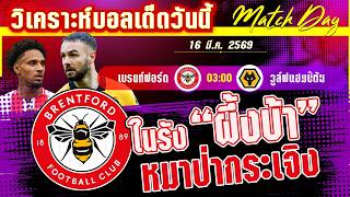 ดูวิเคราะห์ [16 มีค 69] เบรนท์ฟอร์ด-วูล์ฟแฮมป์ตัน | ลุ้นตั๋วบอลยุโรป! ผึ้งบ้าหวังดับซ่าส์หมาป่าวูล์ฟ?