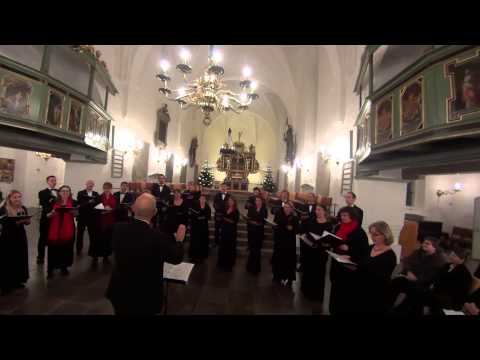 Vinter - solhverv | Kammerkoret Coro Misto