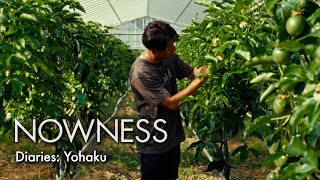 Leaving Tokyo for the ocean, Hiroki Ryo lives through the Japanese concept of beauty in minimalism离开东京，前往海边，弘树亮以极简主义的日本美学理念为生活方式。