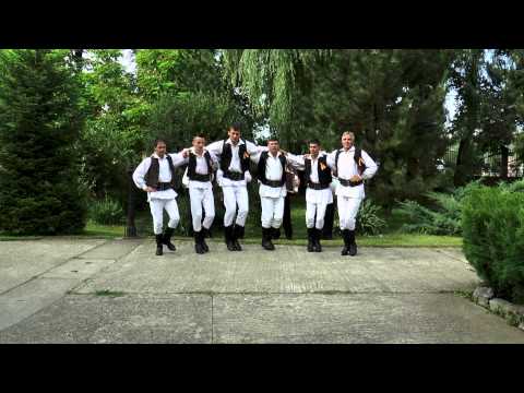 ANSAMBLUL ARTISTIC FLOAREA BORODULUI