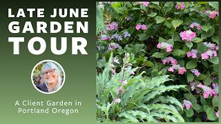 Garden Tour: A Client's Front Yard in Late June
