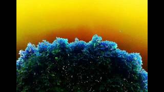 Henry - Time to fly [EP] (2012)