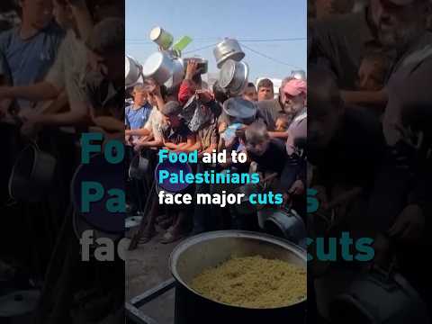 Food aid to Palestinians face major cuts