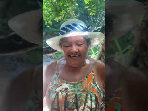 Pretinha conhecendo uma das trilhas de Tabatinga #conde #litoralsuldaparaiba #paraúcha #paraiba