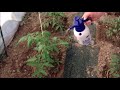 ​Лимонную кислота - фото 1