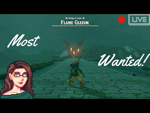 Hyrule's Most Wanted! | Tears of the Kingdom Stream #45