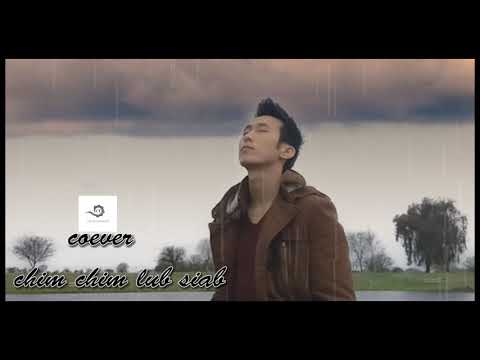 Ceeb tsheej vaj - Chim chim lub siab cover