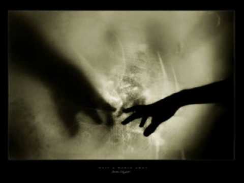 KarolinkaJankowska854’s Video 111621387036 qOAUt9gUyjw