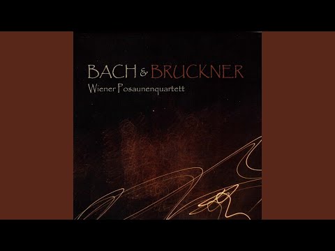 download lagu mp3 mp4 Download Bruckner Adagio From The String Quintet Full Orchestra Mp3, download lagu Download Bruckner Adagio From The String Quintet Full Orchestra Mp3 gratis, unduh video klip Download Bruckner Adagio From The String Quintet Full Orchestra Mp3