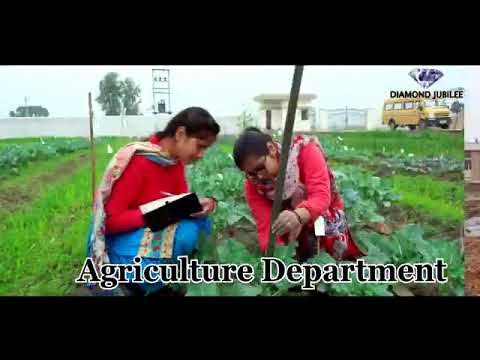 Admissions are open in Khalsa College Patiala for 2020-21