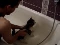 Как мыть кота) 