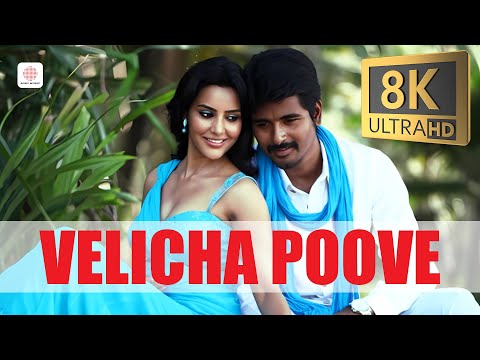 Ethir Neechal - Velicha Poove 8K/4K Video Song | Sivakarthikeyan, Priya Anand | Anirudh Ravichander