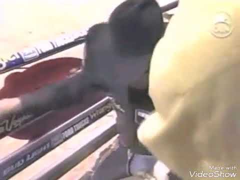 MONTARIA DE  ADRIANO  MORAES