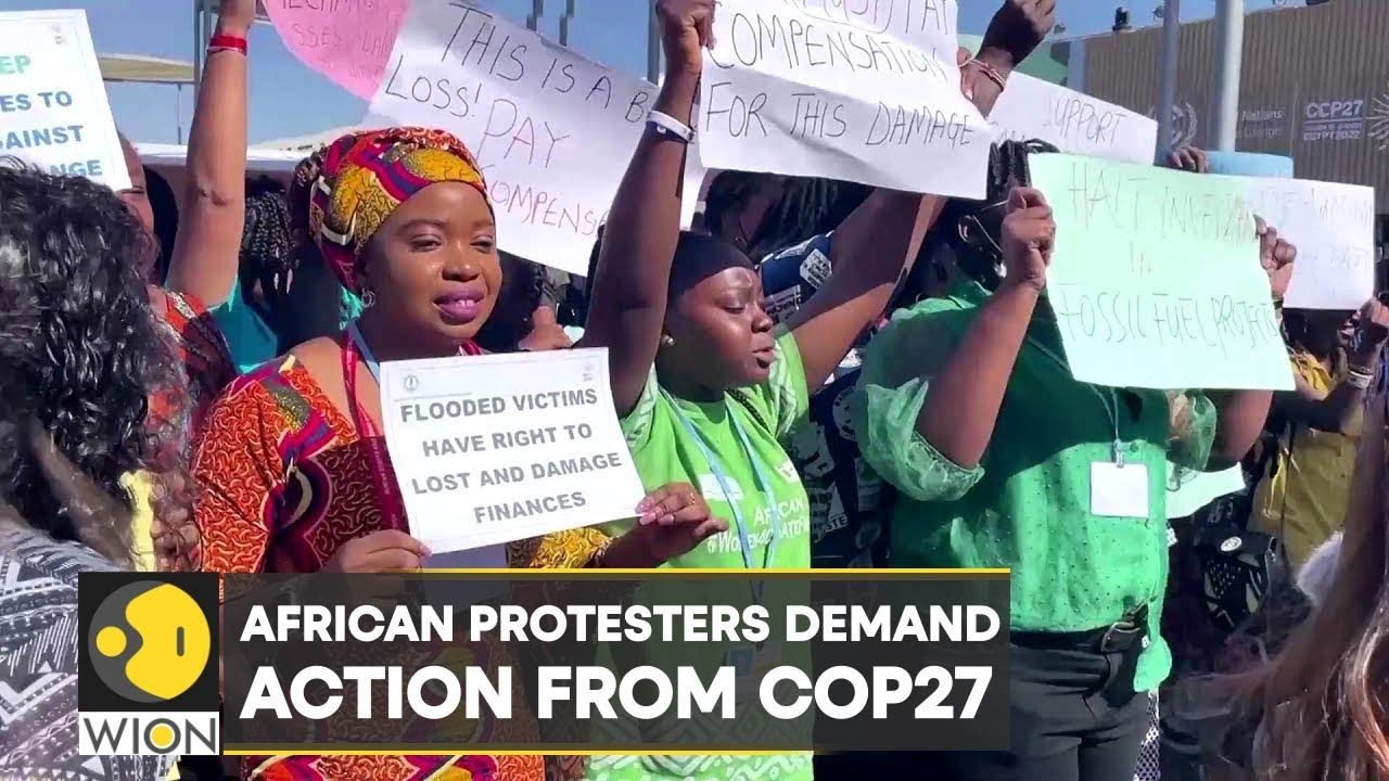 WION Climate Tracker | African protesters demand action from COP27 | World English News | WION