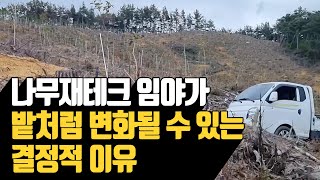 나무재테크 임야가 밭처럼 변화될 수 있는 결정적 이ᄋ…