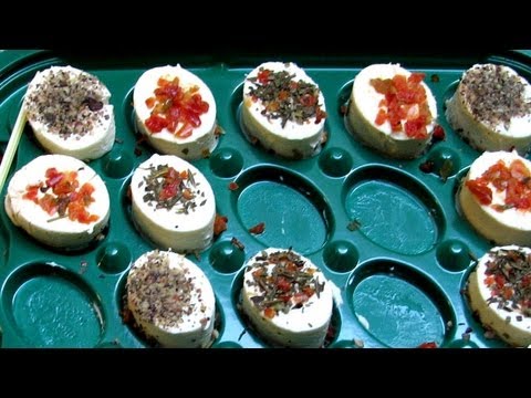 Bresso Appetizers - Herbes de Provence