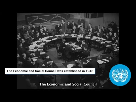 United Nations Economic and Social Council (ECOSOC) | Painted Clothes