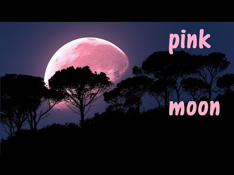 Pink moon: the biggest, brightest and best of 2020 | Baisakhi Saha